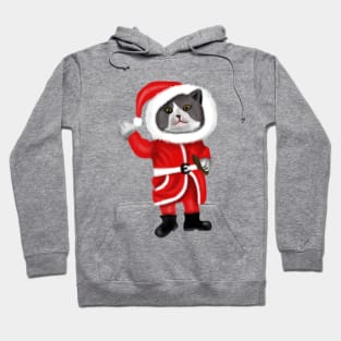 Santa Cat Funny Cat Lovers Christmas Gift Hoodie